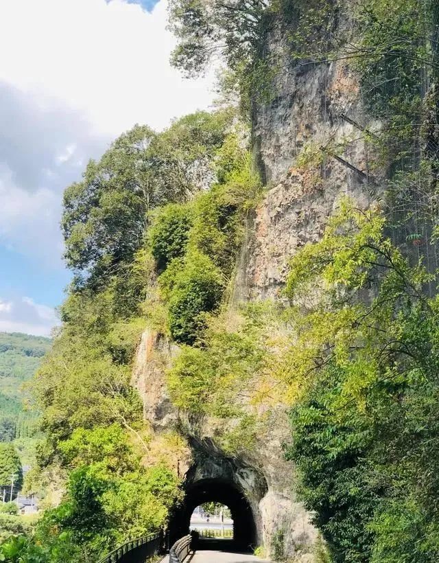 大分县一僧人用30年时间在悬崖上凿出路 现在变成了日本新三景 腾讯网