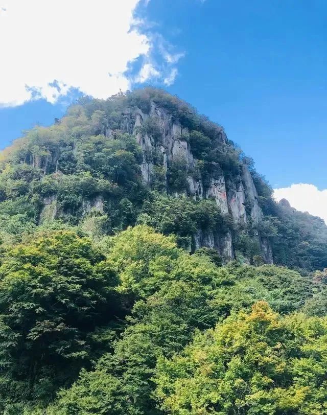 大分县一僧人用30年时间在悬崖上凿出路 现在变成了日本新三景 腾讯新闻