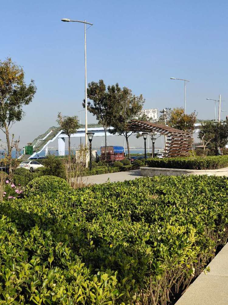 盼了这么多年,青岛环湾路上终于有过街天桥了