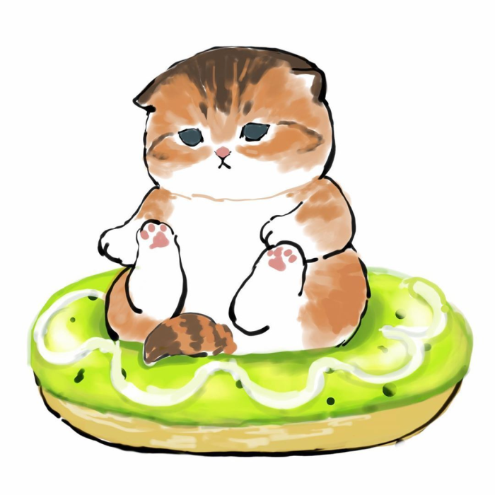 超可爱,治愈的小猫咪头像第二弹