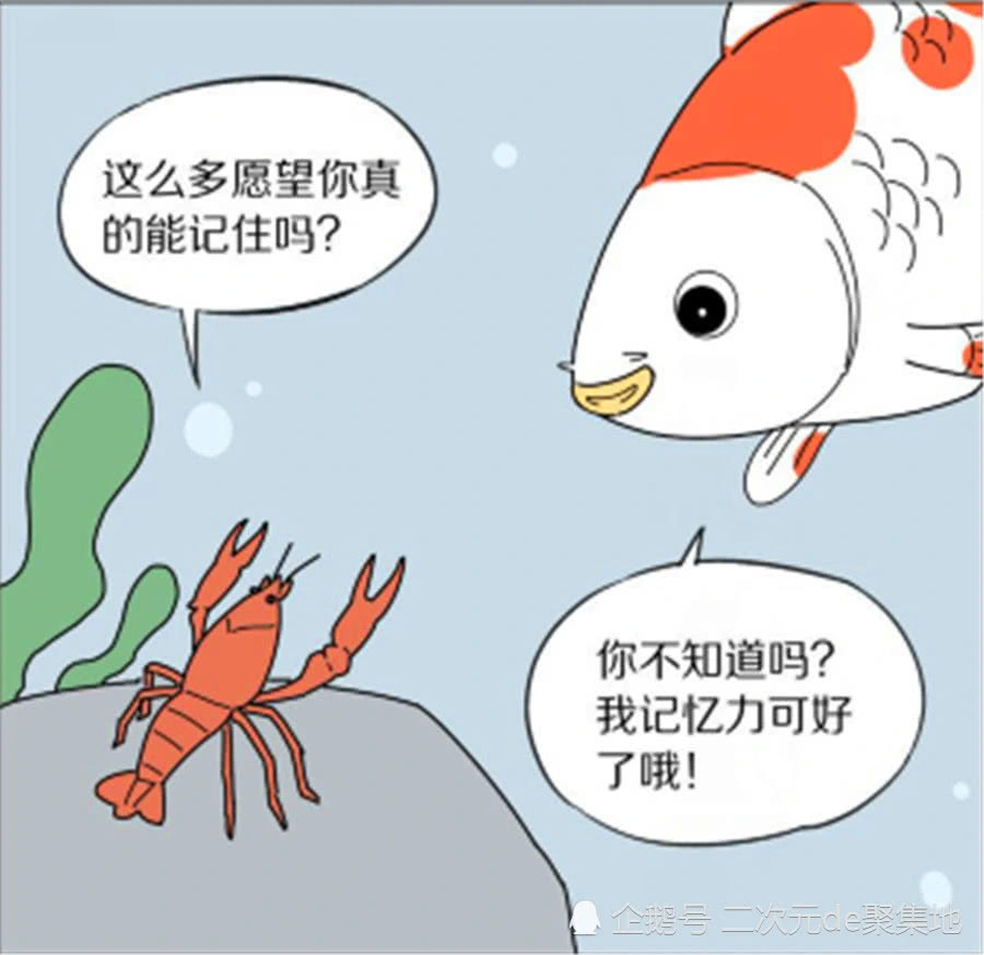 轻松一刻人们都说鱼只有七秒钟的记忆可这条鱼记忆力却很强