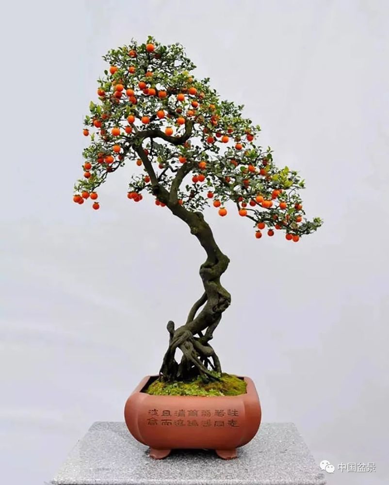 "这世间自有亘古不变的客观规律,正如阴阳昼夜,又有什么好争论的呢?