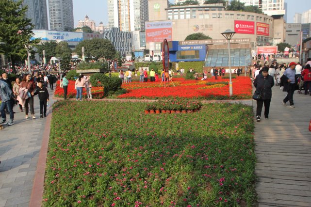 重庆一商圈  最大鲜花公园  百花齐放  美不胜收  赏花游客人山人海|重庆一商圈现最大鲜花公园：百花齐放美不胜收，赏花游客人山人海