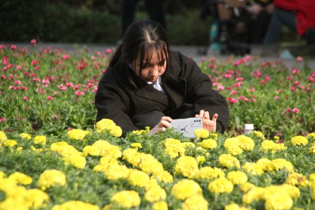 重庆一商圈  最大鲜花公园  百花齐放  美不胜收  赏花游客人山人海|重庆一商圈现最大鲜花公园：百花齐放美不胜收，赏花游客人山人海