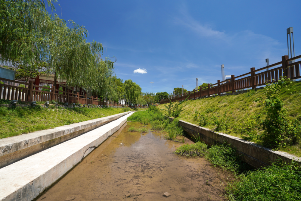 发现光明治水景观丨甲子塘排洪渠:水尤清冽,杨柳依依