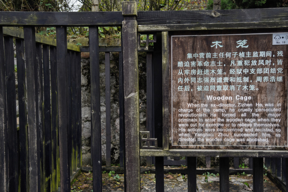 以忠孝仁爱信义和平为名被称为大学其实却是人间炼狱