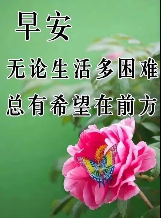 最有創意的秋冬早上好問候語帶溫馨圖片願你今天幸福多彩