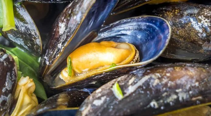 荷兰泽兰省的青口正肥美