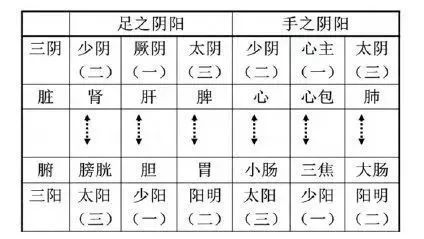 阴阳六经及阖枢开闭解释