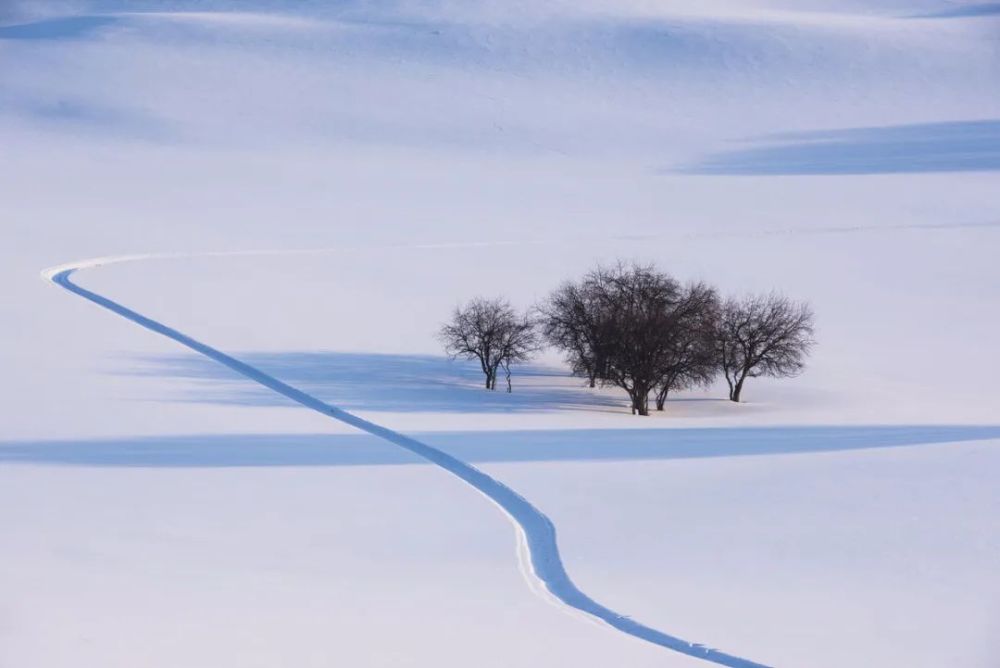 用15张示例照片,点评8个摄影技巧,不要错失雪景的美好