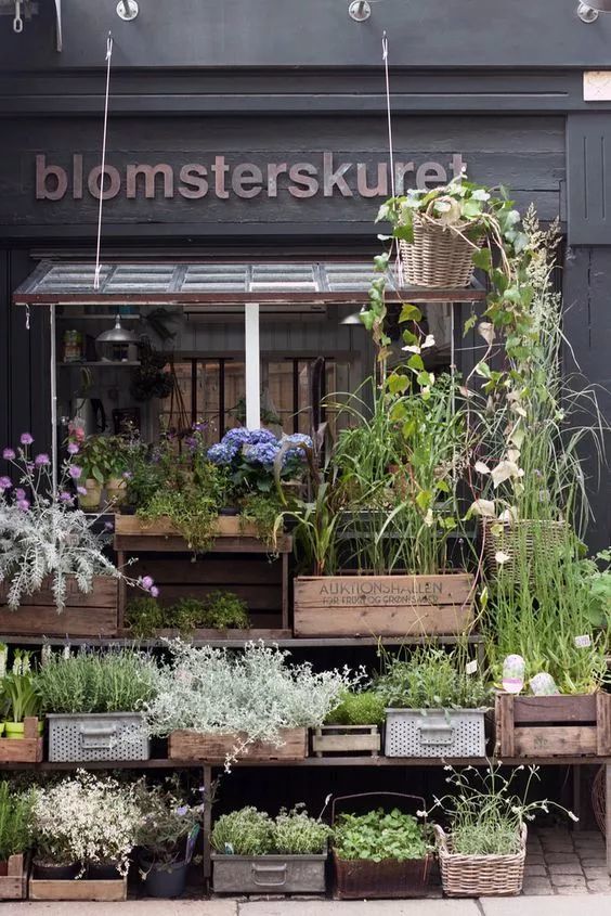 国外花店大比拼,哪个更胜一筹?