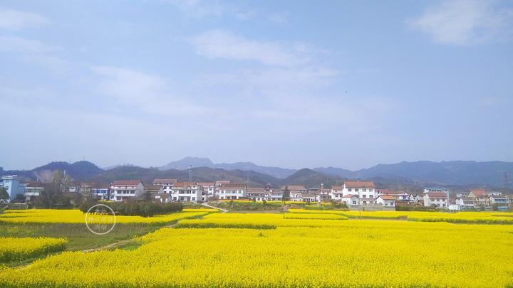 有一些感动 是因为触及了自己的痛点 腾讯新闻