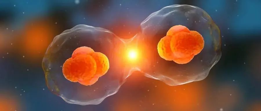 hhs|联合国糖尿病日｜糖尿病并发症有哪些？讲讲糖尿病干预管理