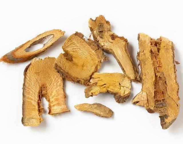 本草纲目故事虎杖治疗结石