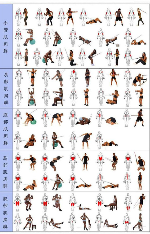 如何在两月练成型男10张ppt从基础干货到健身计划实用