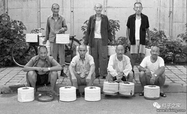 九爷讲堂玩红子的误区四罩不罩叫不叫