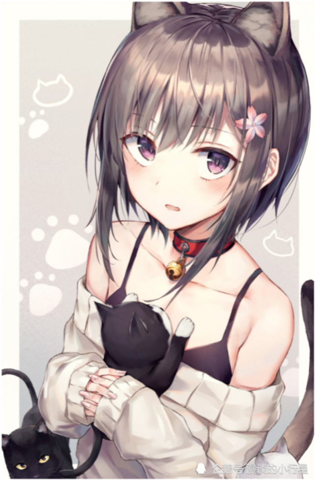 动漫少女猫咪女孩系列壁纸推荐温柔可爱娇羞动人