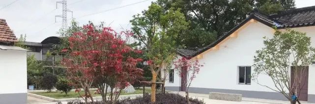 大棚|开市客热卖的这种网红水果，闵行也有种植哦！还有更好玩的……