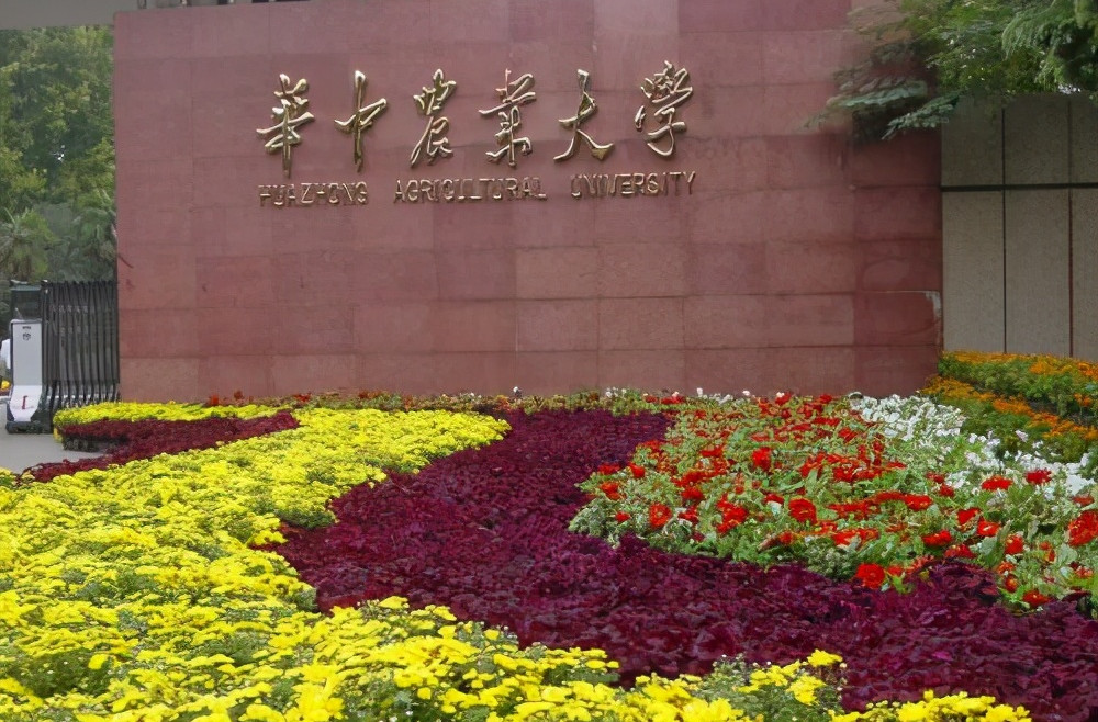 冷门行业的2所211高校,实力毋庸置疑,很值得报考