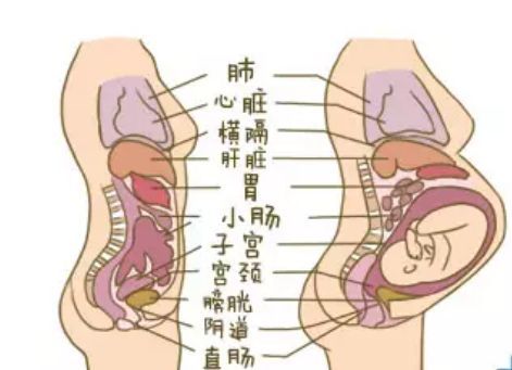女性在怀孕后身体会发生什么变化?当妈真的没你们想的那么容易!