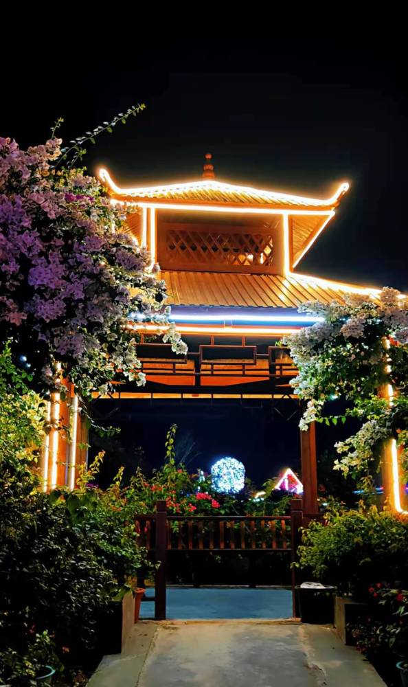 这样的粤龙山夜景太惊艳了吧