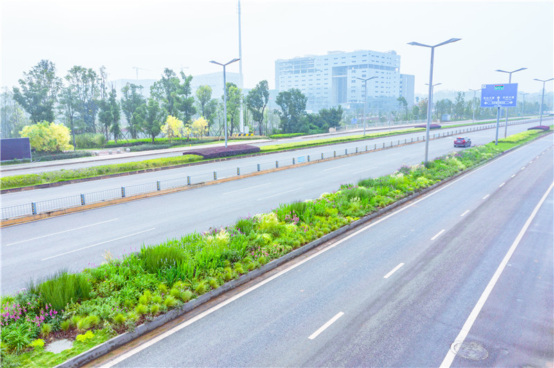 近自然草甸风侧分带来了你喜欢吗