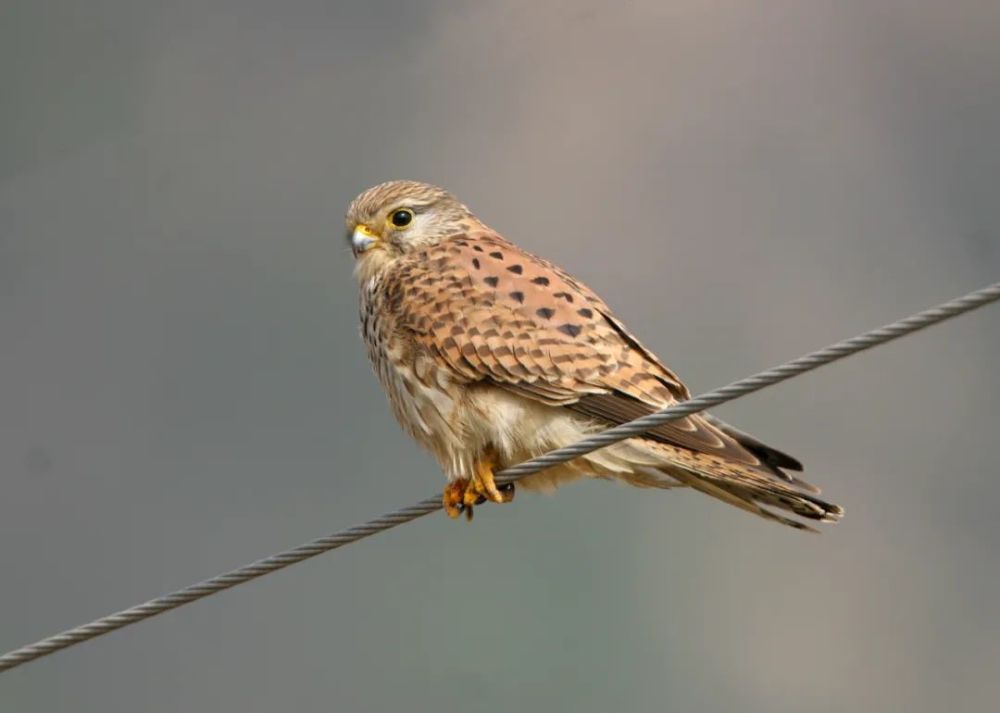 第二个"纽约中央公园",在中国?