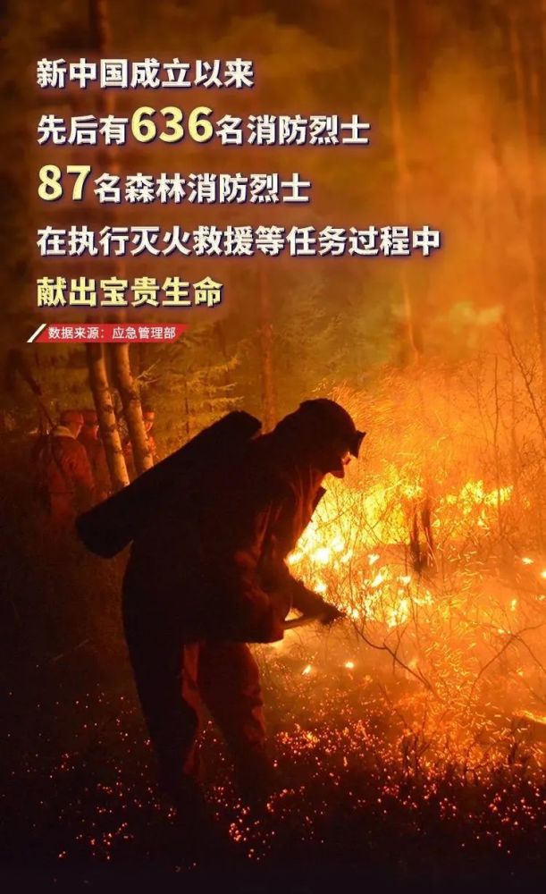 全国消防日丨 向逆行的"消防员"致敬