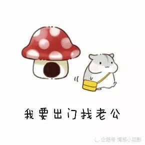 仓鼠表情包:我爱老公!