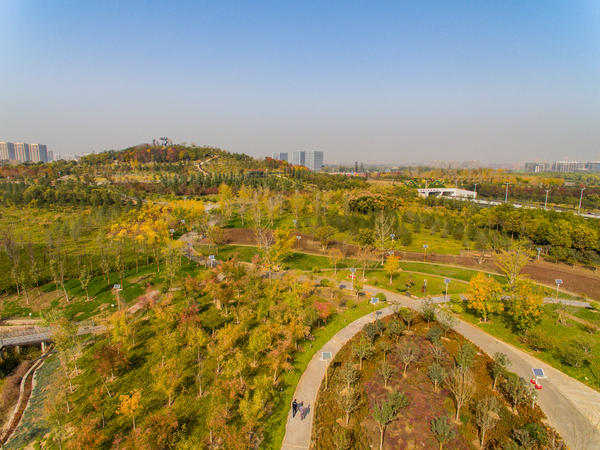 航拍鄭州北龍湖溼地公園秋意尚未走遠樹木染黃潤紅初冬景色美如畫卷