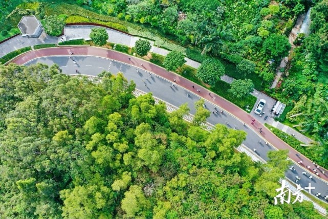 淘金山綠道是深圳典型的郊野生態型綠色廊道,起於翠湖社區公園,經布心