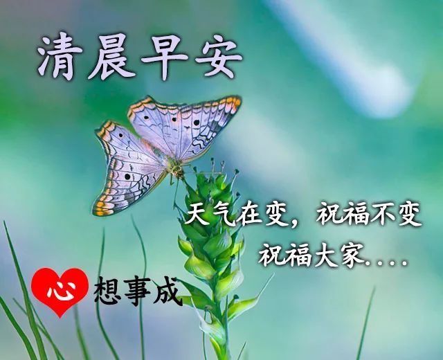 2月最美的早上好問候語圖片大全,早晨好陽光祝福語圖片表情合集_騰訊