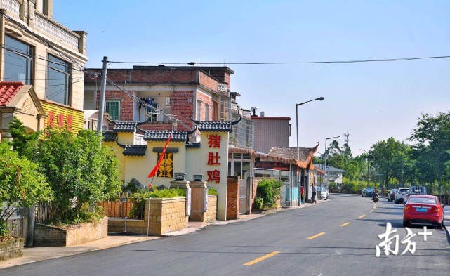 首站,考察组来到江门鹤山市竹树坡村.