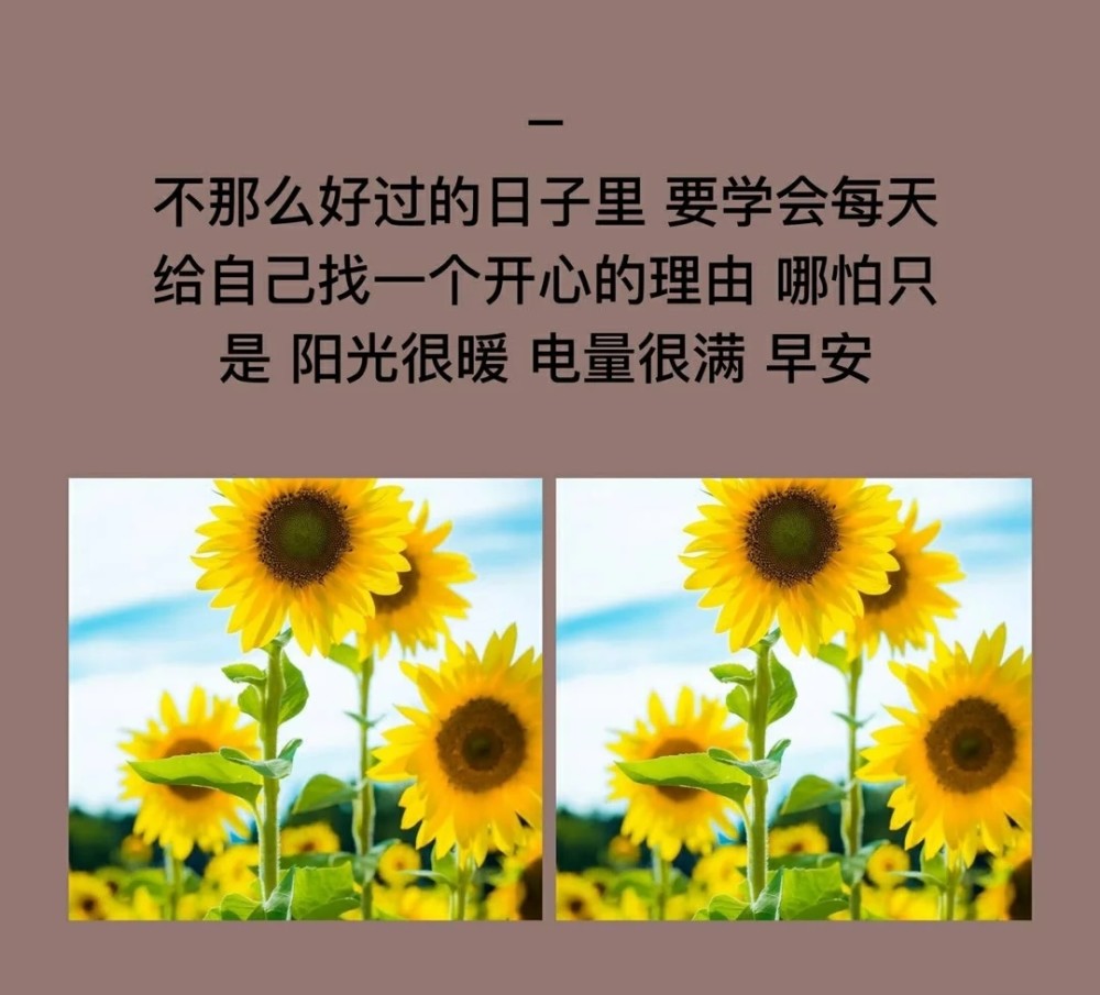 適合早晨乾淨的句子:我不擅經營,可所有人都在以還同方式離開我