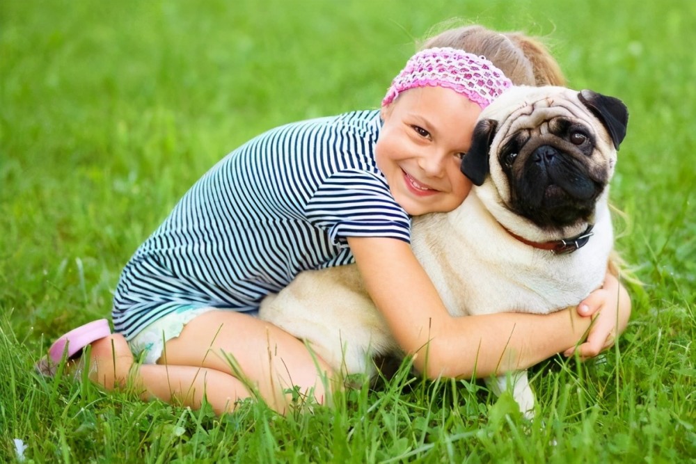 这几种小型犬,机警爱吠叫,有小孩的不太适合