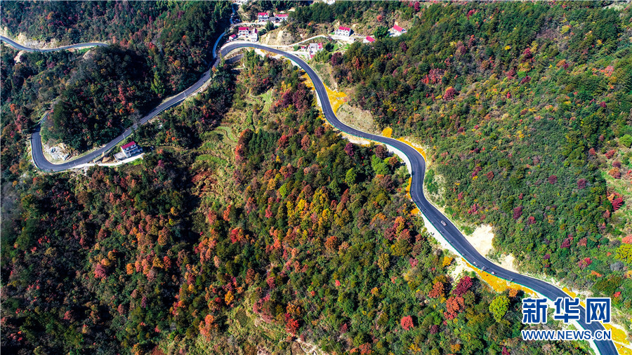 飞阅中国山路弯弯绘锦绣