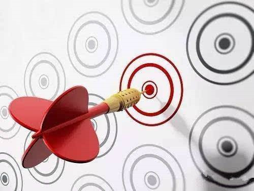 学习成语有的放矢