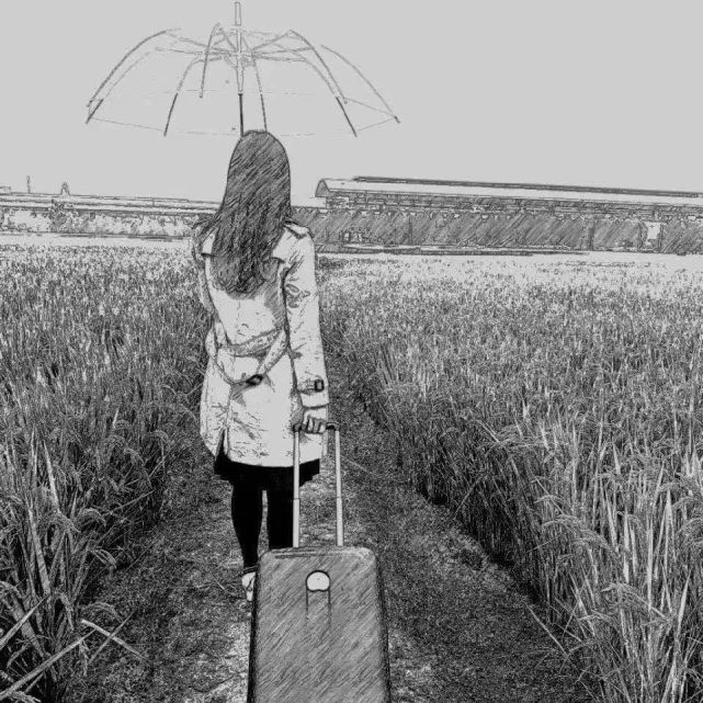 头像是一张背影……阮林芳有说不完的故事从"逃离"到回归"这里一草一