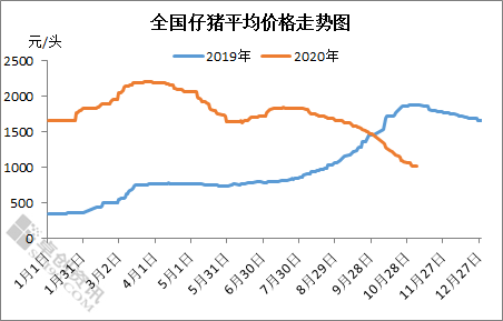 仔猪价格