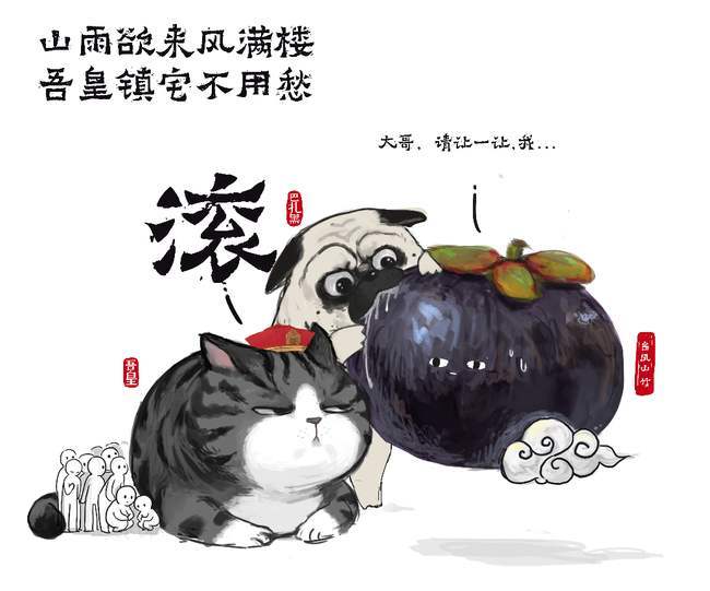 每个养猫的铲屎官,都有一个叫吾皇的主子,傲娇又能给人带来温暖_腾讯