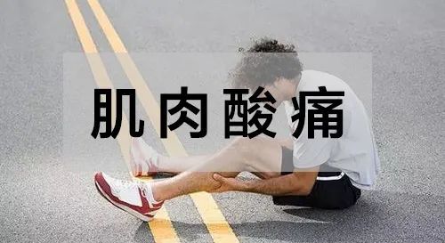 顽鹿小课堂运动后肌肉酸痛怎么办