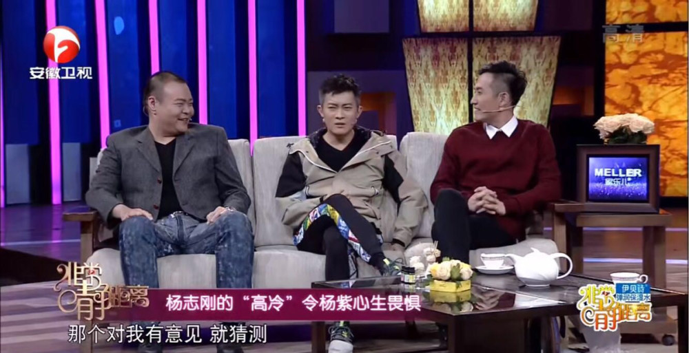 杨志刚|靠兄上位，演多部戏仍无演技？“玛丽苏王子”杨志刚被误解的半生