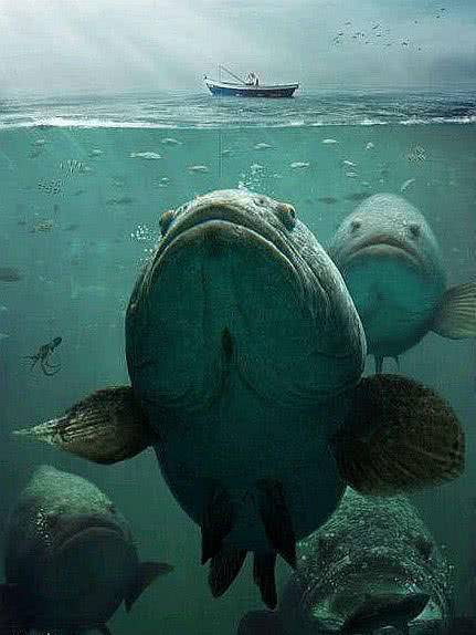 5张图测你是否有"深海恐惧症",第3张最真实,最后一张:怕了!_腾讯新闻