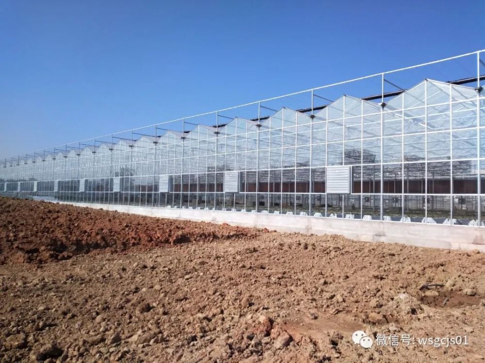 全玻璃温室大棚价格是多少建造全玻璃温室大棚注意事项哪些