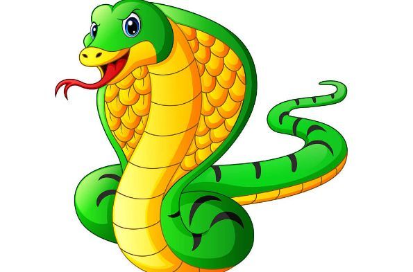 属蛇的人,你是早上出生还是晚上出生?出生时间决定了你的财富!