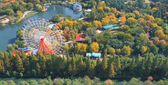 11月4日,遊客正在合肥濱湖國家森林公園裡遊玩.