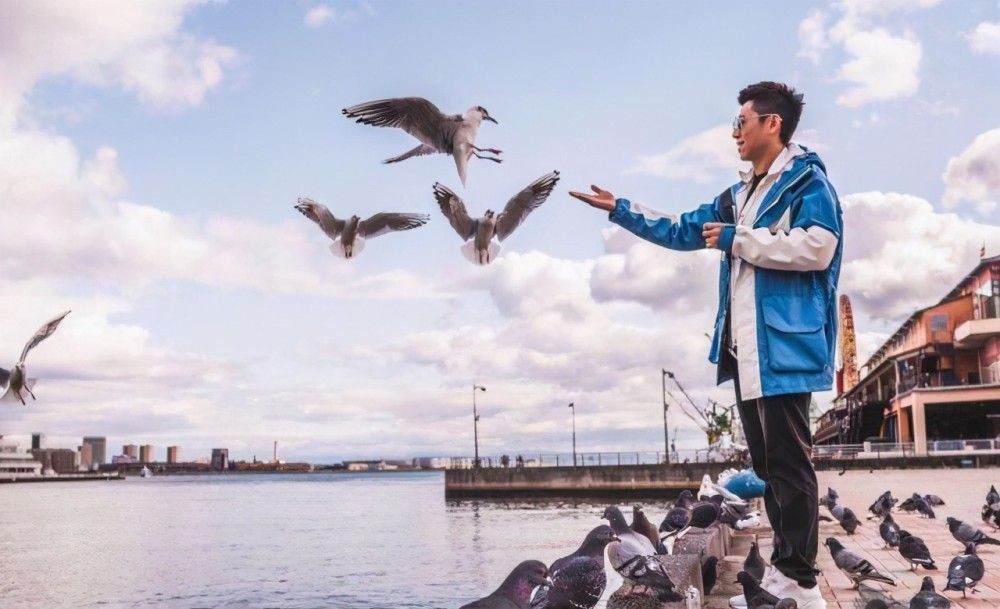 喂鸽子的影帝梁朝伟