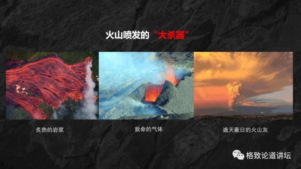 石头|1929年的一场“血案”，导火索只不过是几块石头