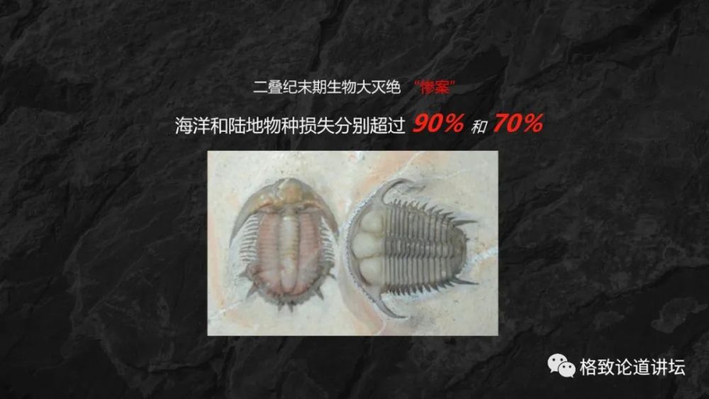 石头|1929年的一场“血案”，导火索只不过是几块石头