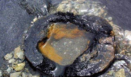 青海湖遍布一大片滩空心铁管,有人发现了不明飞行物,引发大争议_腾讯